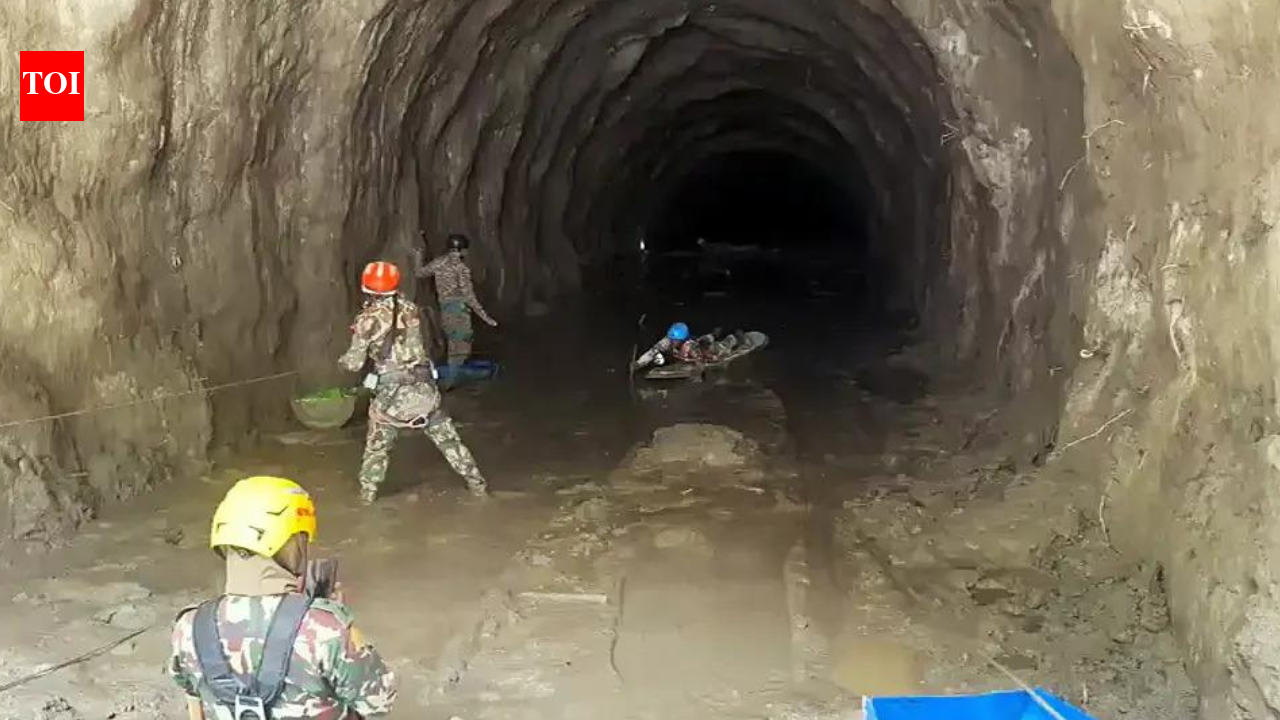 India'23 Silkyara 'rat miners' offer to join Nepal tunnel rescue
