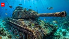 Thailand sank 25 tanks in 2010. Nine years later, 53 fish species thrived