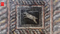 Archaeologists uncover Roman mosaic of cat Emerald and dog Ocean