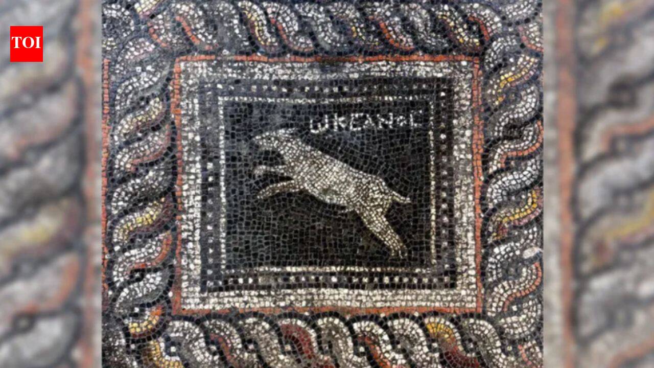 Archaeologists uncover Roman mosaic of cat Emerald and dog Ocean