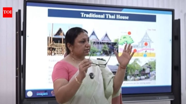 NewsMeet Avlokita Agrawal, IIT Roorkee alumna building career in energy efficiency