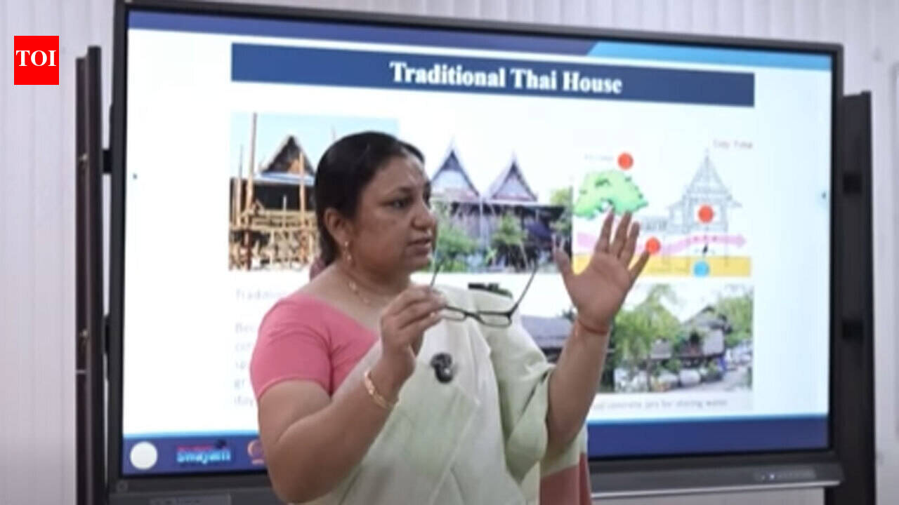 NewsMeet Avlokita Agrawal, IIT Roorkee alumna building career in energy efficiency