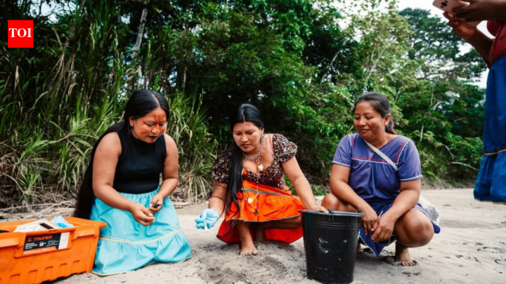 Meet the Amazon's Turtle Women bringing river turtles back