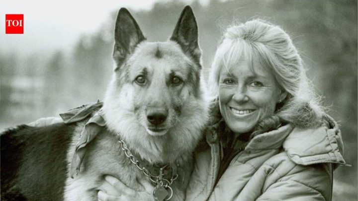 Anne LaBastille's off-grid Adirondack home and 32 acres are now protected