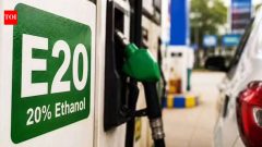 India BusinessPM aide: E20 cap likely for existing vehicles