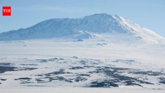 AI maps 39,619 Antarctic icebergs forming ‘picket fence’ that holds sea ice
