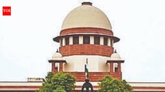 IndiaMurder accused's 'victory march': SC asks Haryana police to produce him in court
