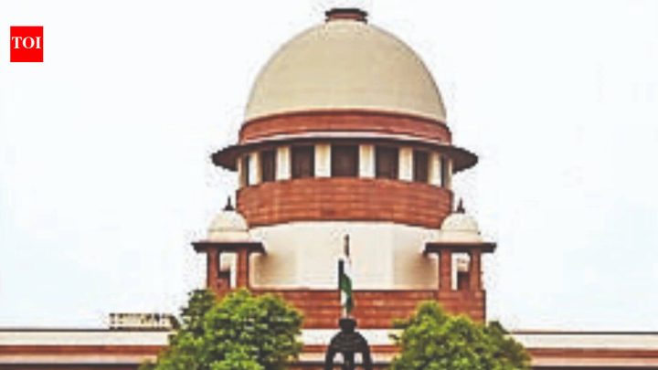 IndiaMurder accused's 'victory march': SC asks Haryana police to produce him in court