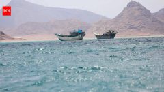 Middle East'Attempted to steal a sea drone': US military destroys two small Iranian boats