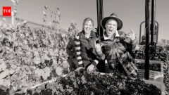 USPink bought 200-acre California ranch; 13 years later, it became a vineyard