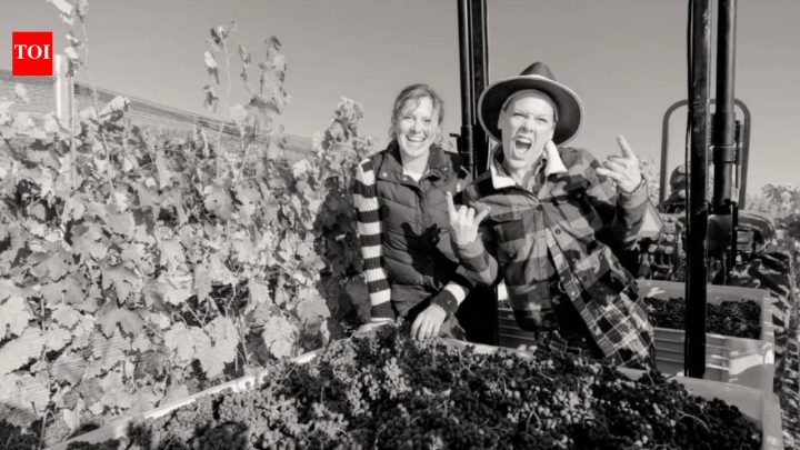 USPink bought 200-acre California ranch; 13 years later, it became a vineyard