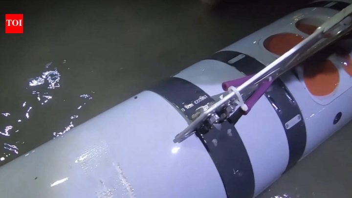 Middle East'Mk 18 Mod 2 Kingfish': IRGC claims second US underwater drone seized in Strait of Hormuz