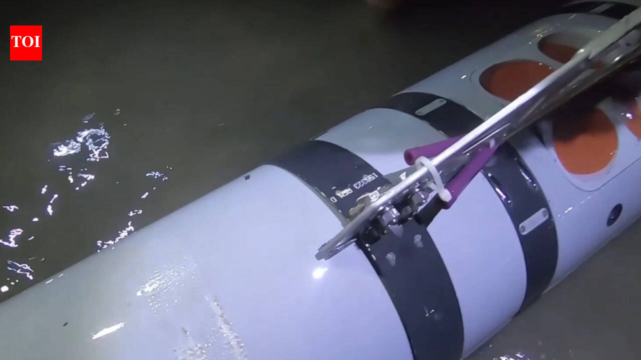 Middle East'Mk 18 Mod 2 Kingfish': IRGC claims second US underwater drone seized in Strait of Hormuz