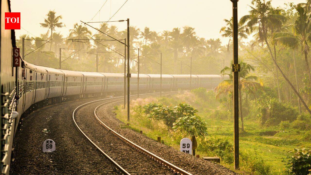 Things to doindia's most unusual train journeys: mountains, forests, rivers, deserts