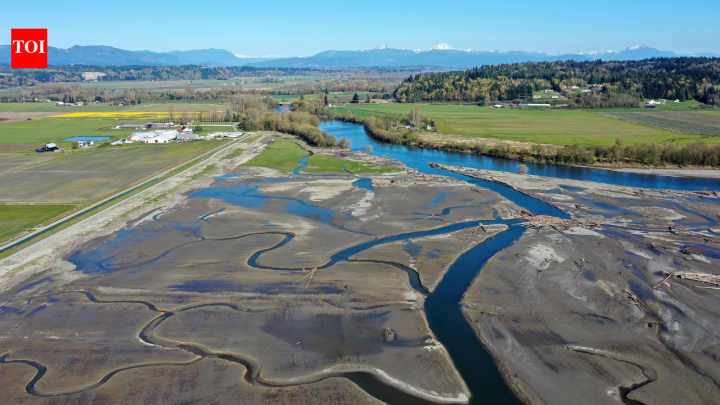 Washington removes century-old dike, 762 acres reclaimed as Chinook return