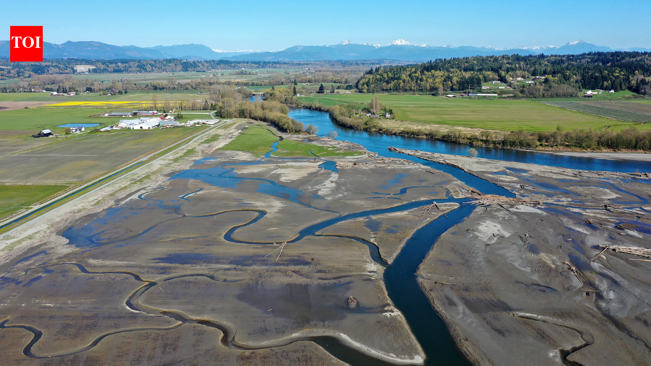 Washington removes century-old dike, 762 acres reclaimed as Chinook return