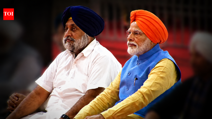 ExclusiveBargaining tactics? Why BJP's 'solo pitch' in Punjab may have message for Akalis