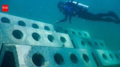 Miami Beach reefs built in 1998 later attracted 97,826 fish from 146 species