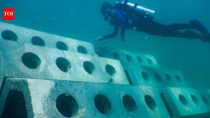 Miami Beach reefs built in 1998 later attracted 97,826 fish from 146 species