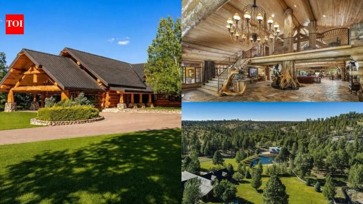 SkyMall founder's Arizona ranch has 1,250-year-old tree and $9.475m price tag
