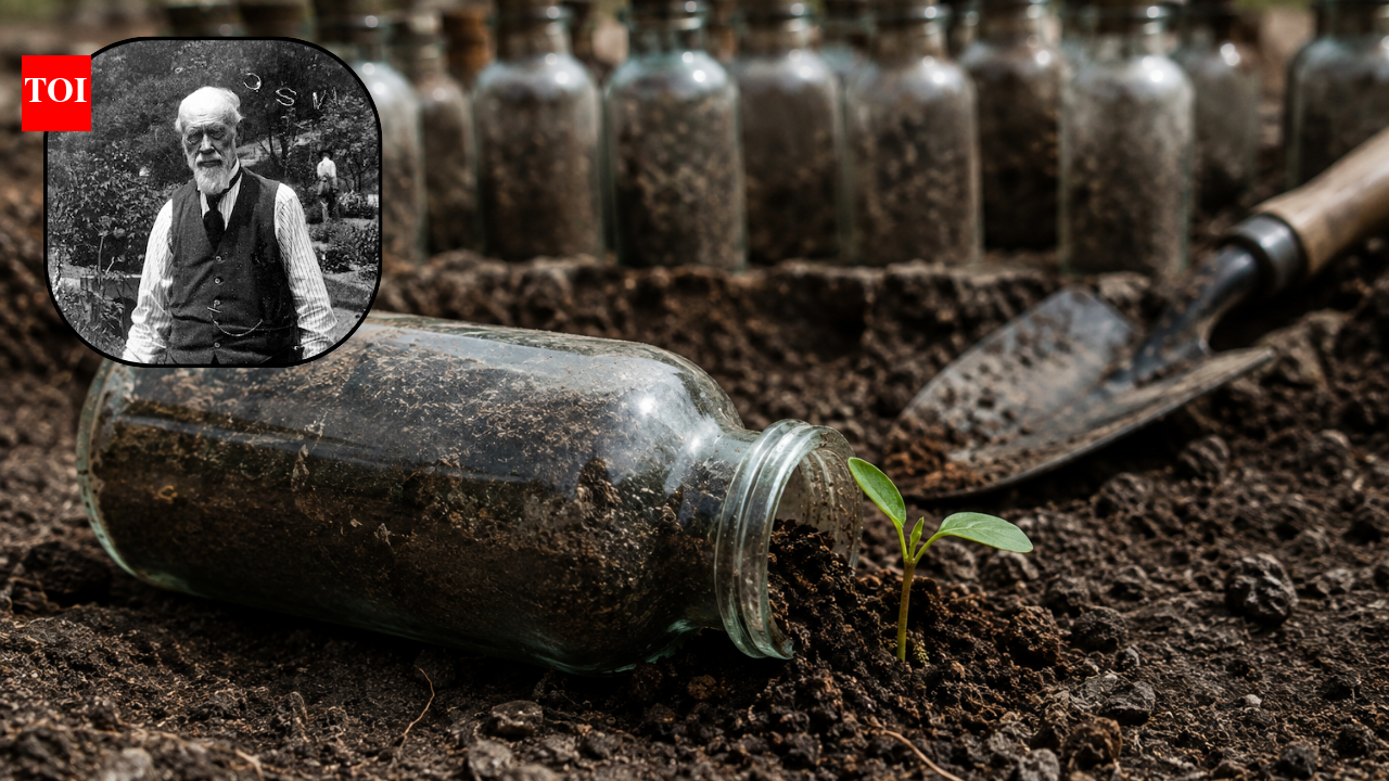 Michigan seed experiment began in 1879 and is set to run until 2100