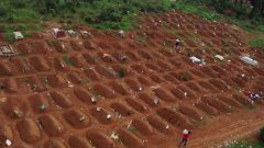 WHO chief warns Ebola response must ramp up to stem DRC outbreak