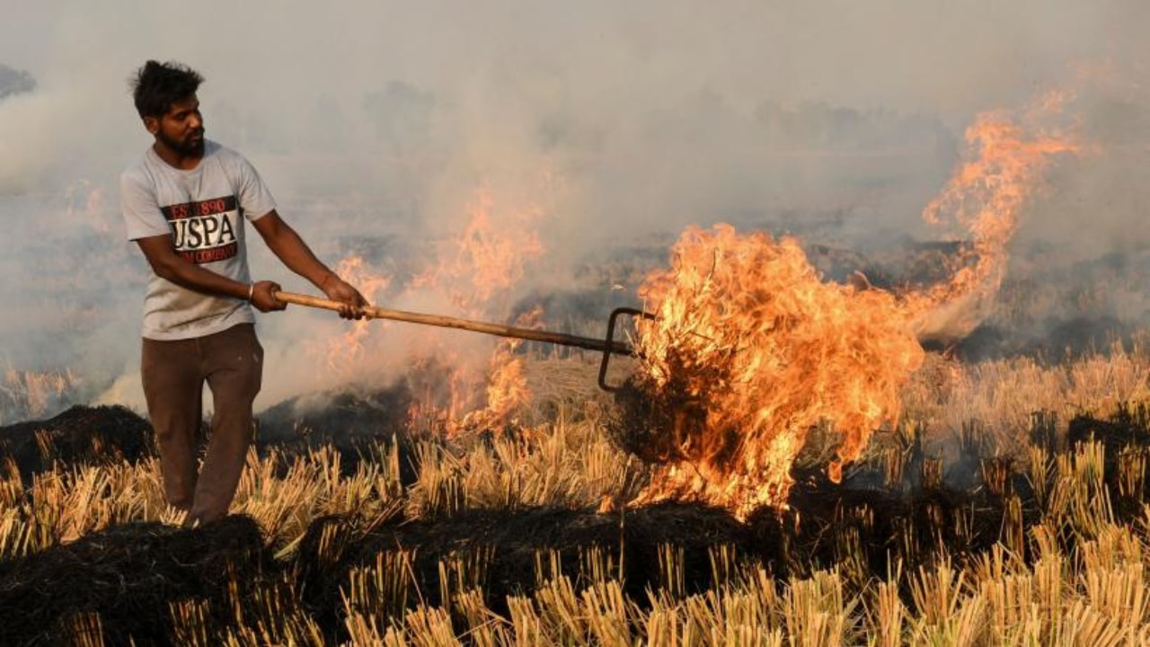 Punjab Tightens Action Against Rice Residue Burning