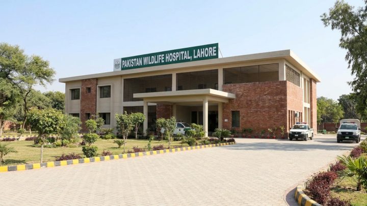 Punjab Builds Pakistan’s First Wildlife Hospital