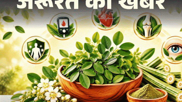 जरूरत की खबर- सहजन के पत्ते हैं ‘सेहत का खजाना’: ब्लड शुगर करे कंट्रोल, पाचन रखे दुरुस्त, डॉक्टर से जानें इसे खाने का सही तरीका1:32Play video