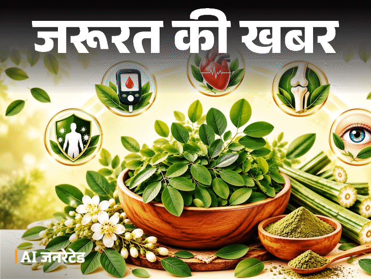 जरूरत की खबर- सहजन के पत्ते हैं ‘सेहत का खजाना’: ब्लड शुगर करे कंट्रोल, पाचन रखे दुरुस्त, डॉक्टर से जानें इसे खाने का सही तरीका1:32Play video