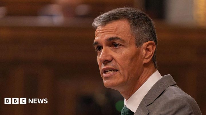 Spanish PM Sánchez calls early election after housing protests