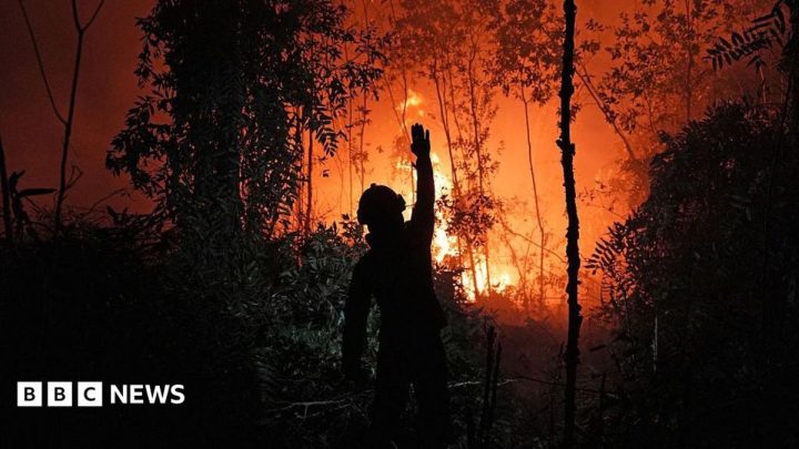 Who's to blame for the toxic smog choking South East Asia?