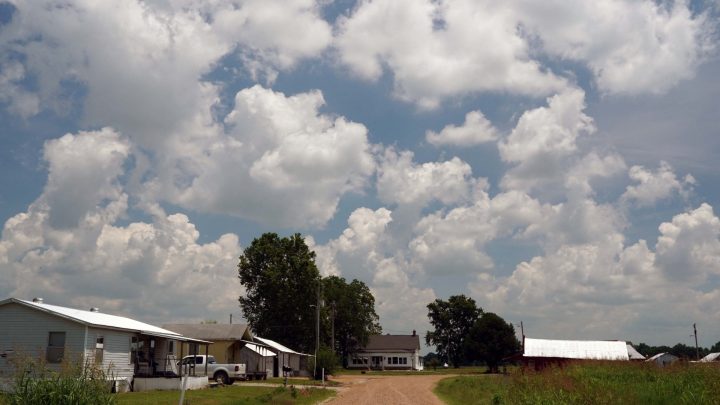 As US midterms approach, farmers decide what to plant and how to vote