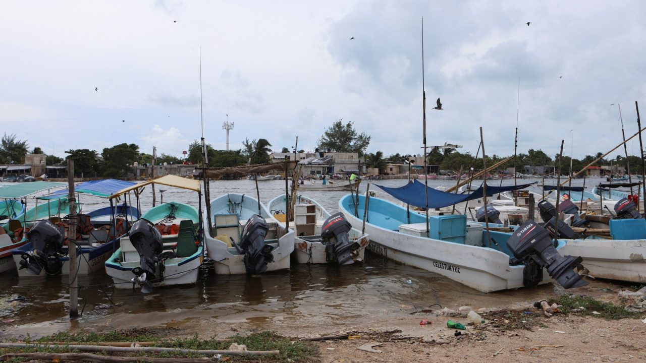 Faecal waste pollutes drinking water in Mexico’s Yucatan, Greenpeace says