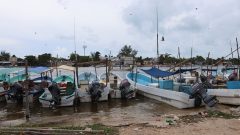 Faecal waste pollutes drinking water in Mexico’s Yucatan, Greenpeace says
