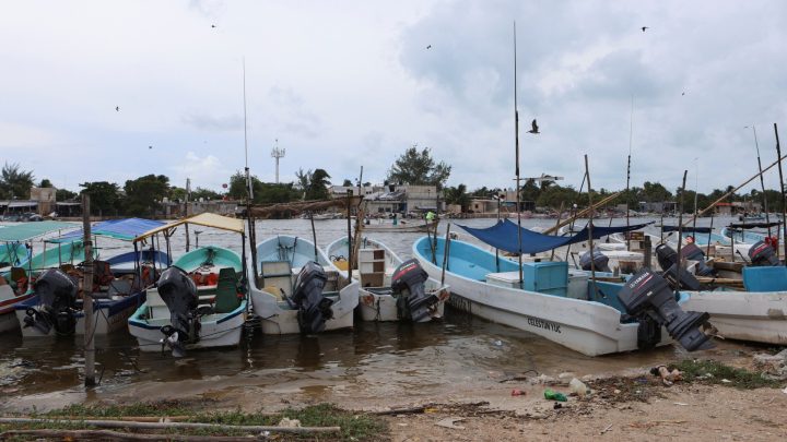Faecal waste pollutes drinking water in Mexico’s Yucatan, Greenpeace says