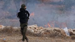 Palestine weekly: Israeli settlers attack journalist and diplomats
