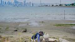 Creek to Bay Day brings volunteers to cleanup Oakland waterways