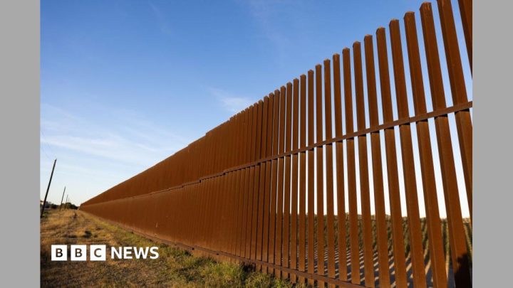 Five ways Trump has changed immigration in the US