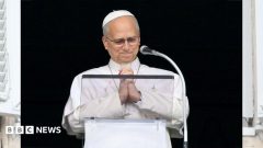 Pope Leo XIV thanks wellwishers in first event after cancer surgery