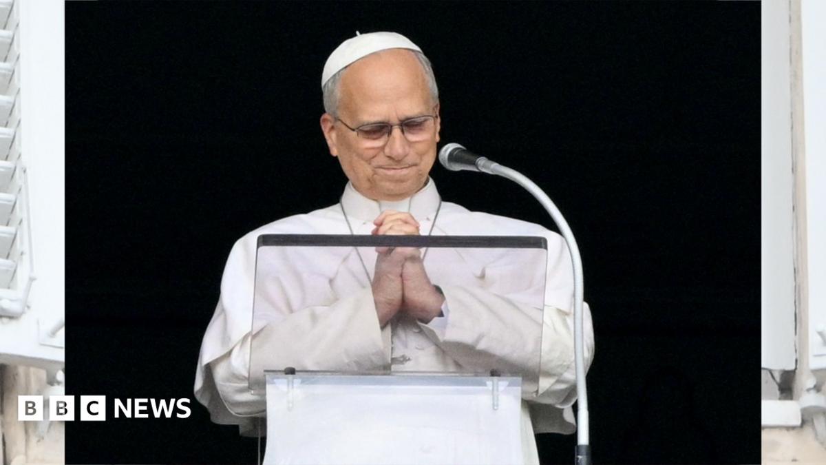 Pope Leo XIV thanks wellwishers in first event after cancer surgery