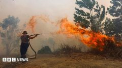 Borneo is burning – living on the frontline of Asia's toxic haze