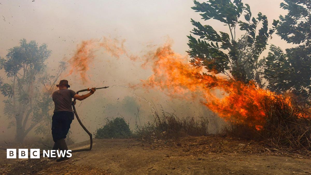 Borneo is burning - living on the frontline of Asia's toxic haze