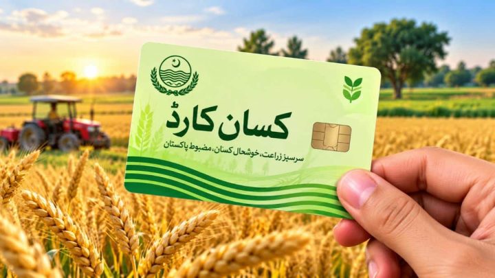 50,000 Wheat Farmers Get Financial Support Under Benazir Kissan Card