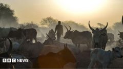 Co-ordinated cattle raids kill at least 72 people in South Sudan