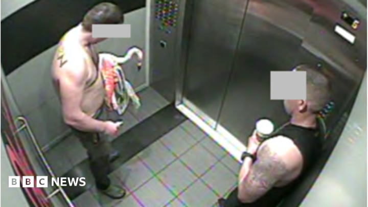 Canadian tourist found guilty of animal cruelty after stealing Las Vegas flamingo from enclosure