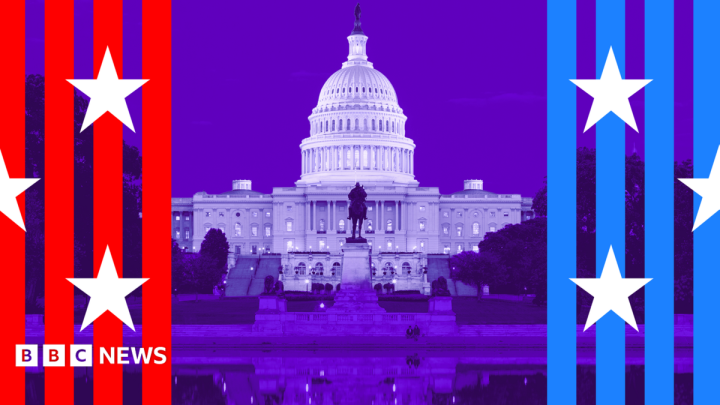 A simple guide to the US midterms
