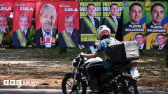 Watch: How Brazil's dramatic election unfolded
