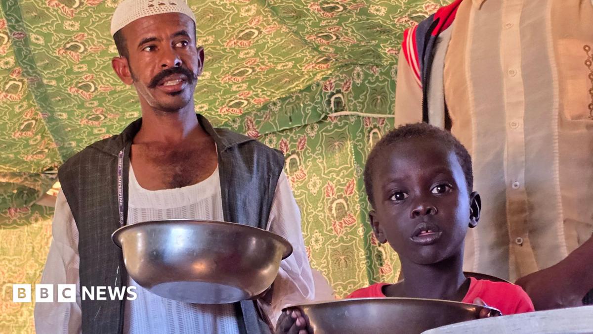 West warns of famine risk in Sudan as civil war grinds on
