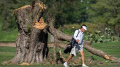 Federal judge orders Trump administration to halt work for a day on historic DC golf course